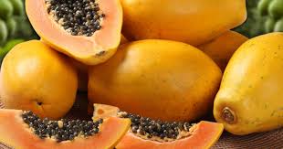Papaya